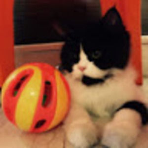 Meet your Posher, Fatima